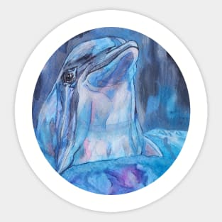 Lovely Friendly Dolphin Sticker